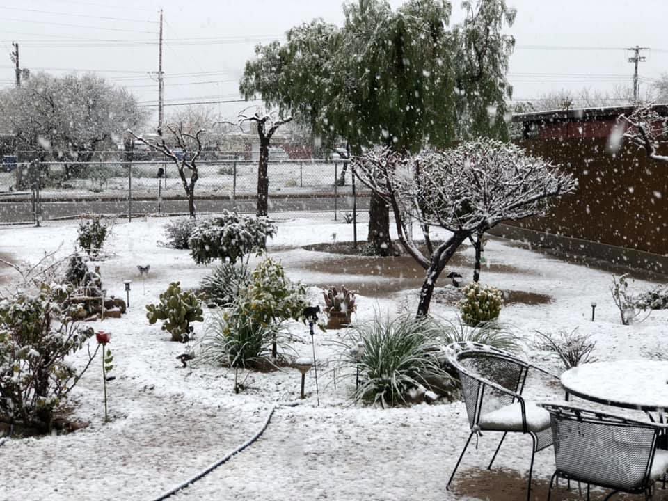 Snow in Tucson